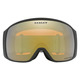 Flight Tracker L Prizm Snow Sage Gold Iridium - Adult Winter Sports Goggles - 1