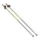 Infinity Just Click - Adult Cross-Country Ski Poles - 0