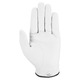 Dawn Patrol - Men's Golf Glove - 1